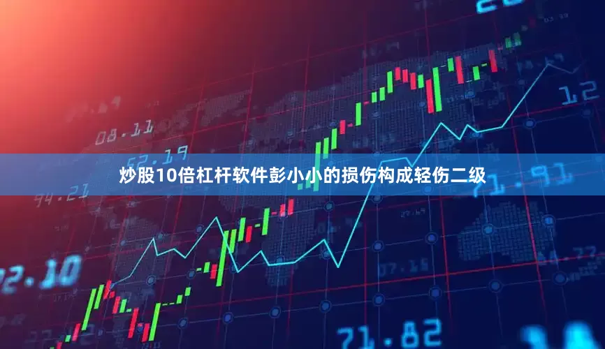 炒股10倍杠杆软件彭小小的损伤构成轻伤二级