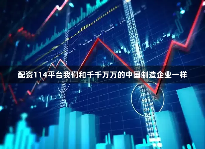 配资114平台我们和千千万万的中国制造企业一样