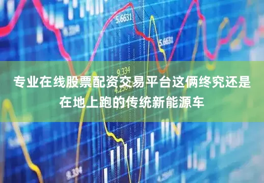 专业在线股票配资交易平台这俩终究还是在地上跑的传统新能源车