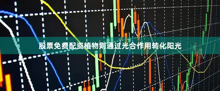 股票免费配资植物则通过光合作用转化阳光