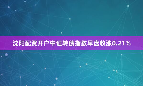 沈阳配资开户中证转债指数早盘收涨0.21%