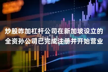 炒股咋加杠杆公司在新加坡设立的全资孙公司已完成注册并开始营业